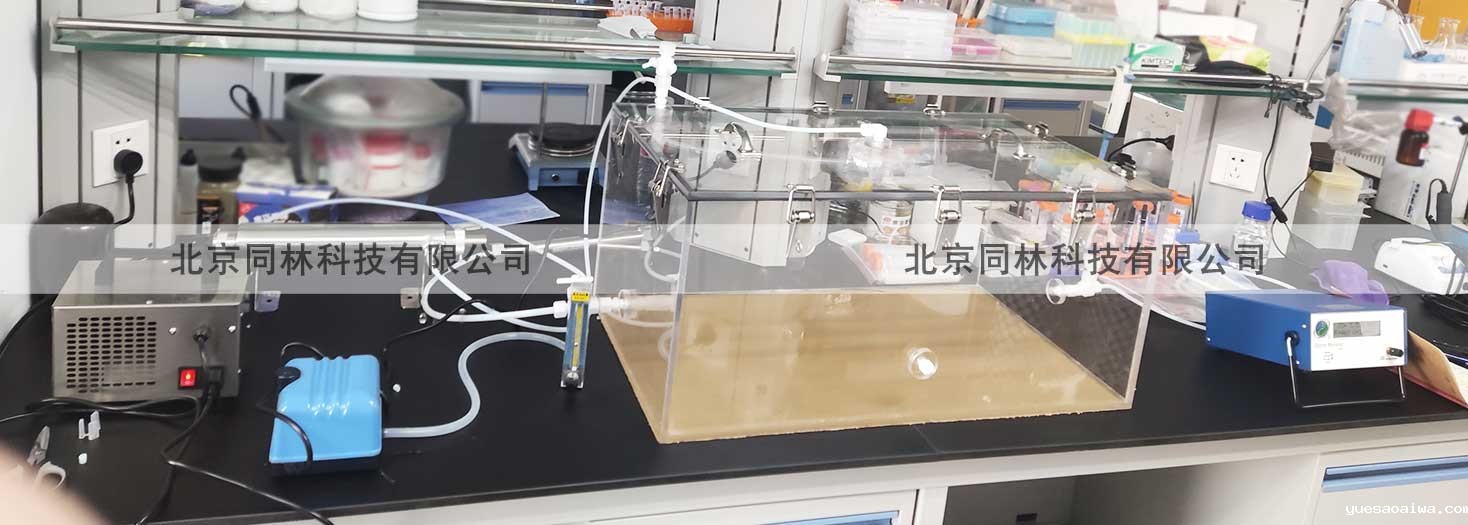 臭氧暴露（染毒）实验系统